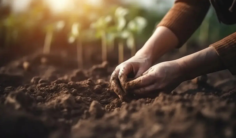 Gübre: Tarımsal Verimliliğin Anahtarı ve Sürdürülebilirliğin Temeli