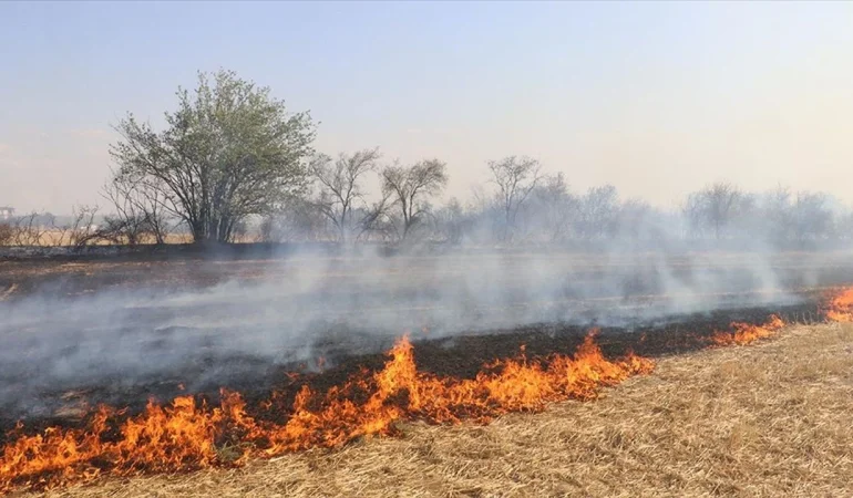 Anız Yakmak Yasaktır: Toprağımıza, Geleceğimize Zarar Vermeyelim