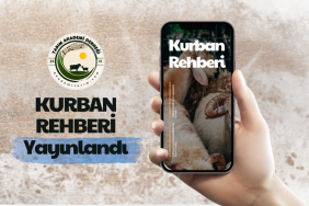 kurban rehberi son