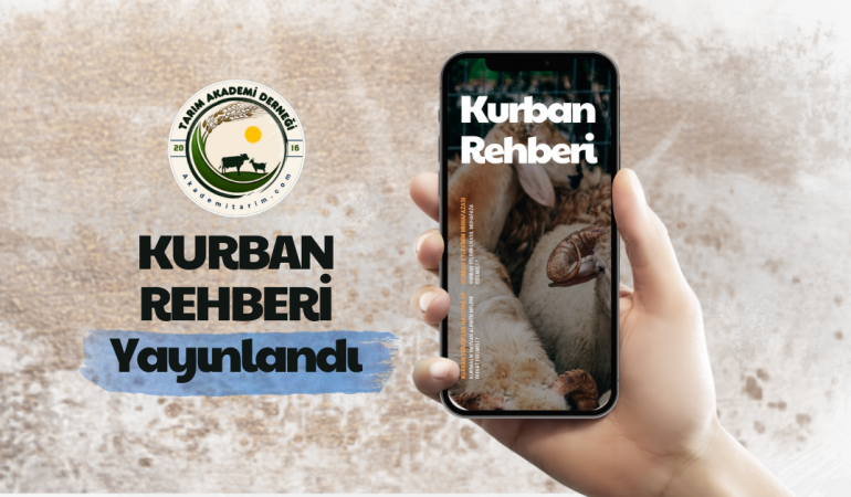 Kurbanlık Alırken ve Keserken Nelere Dikkat Etmeli? Kurban Rehberi Yayında!