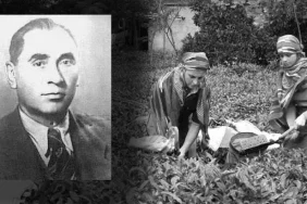 61750b5a45d2a0b25413fff5