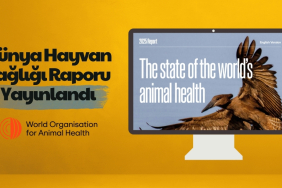 dünya hayvan sağlığı raporu