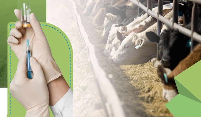 Veteriner İlaçlarında Etkinlik ve Güvenlik Çalışmalarının Ulusal ve Uluslararası Mevzuatı