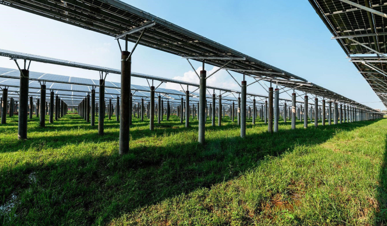 Tarım Arazilerinde Güneş Enerjisi Üretimi Mümkün Mü?