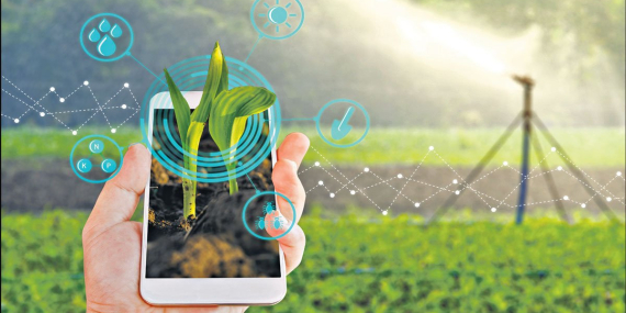 Tarımda Teknoloji: Verimlilik ve Tasarrufun Stratejik Kaldıracı